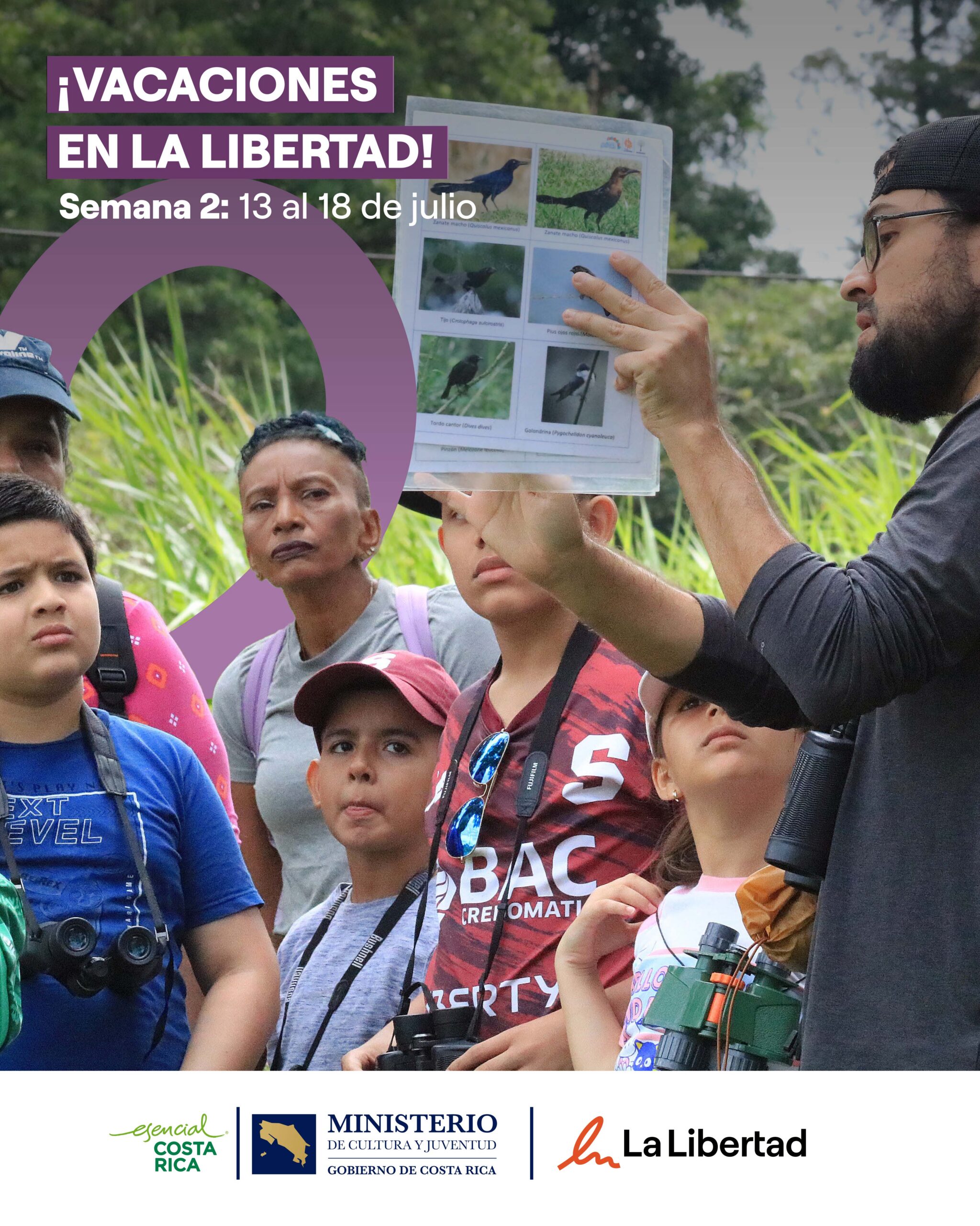 ver actividades